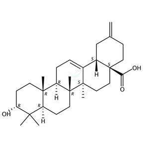 3alpha-木通萜酸 3alpha-Akebonoic acid  104777-61-9