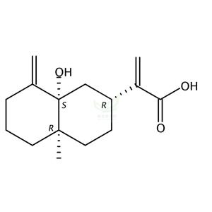 5beta-羟基木香酸 5beta-Hydroxycostic acid 