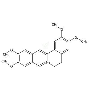 假巴马汀碱  Pseudopalmatine 19716-66-6