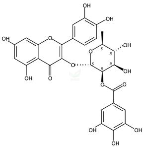 2′′-O-没食子酰基槲皮苷  80229-08-9