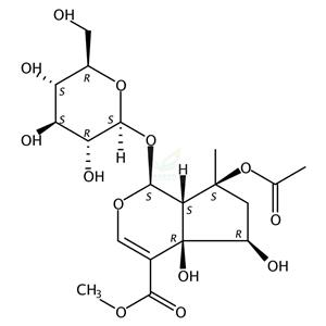 环烯醚萜B  Phlorigidoside B 