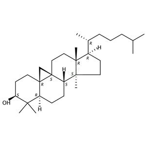 环木菠萝烷醇,Cycloartanol