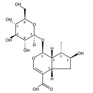 8-表马钱子酸  8-Epi-Loganic acid 82509-41-9