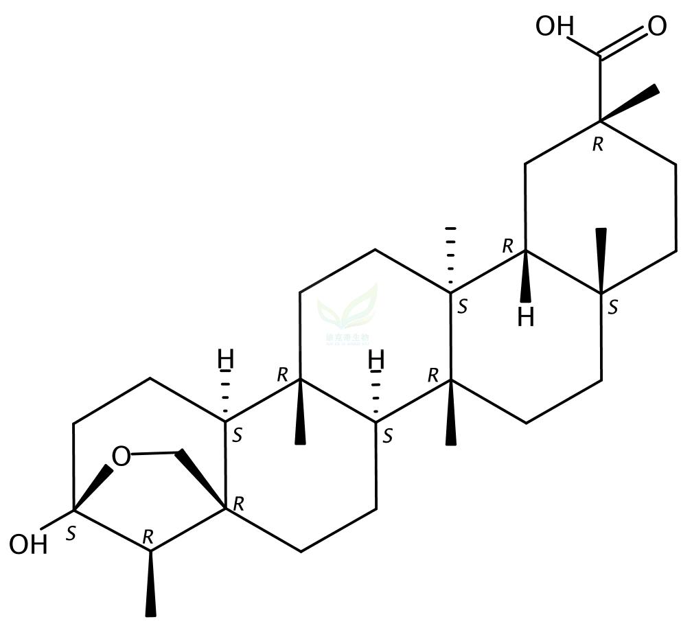 大子五层龙酸,Salaspermic acid