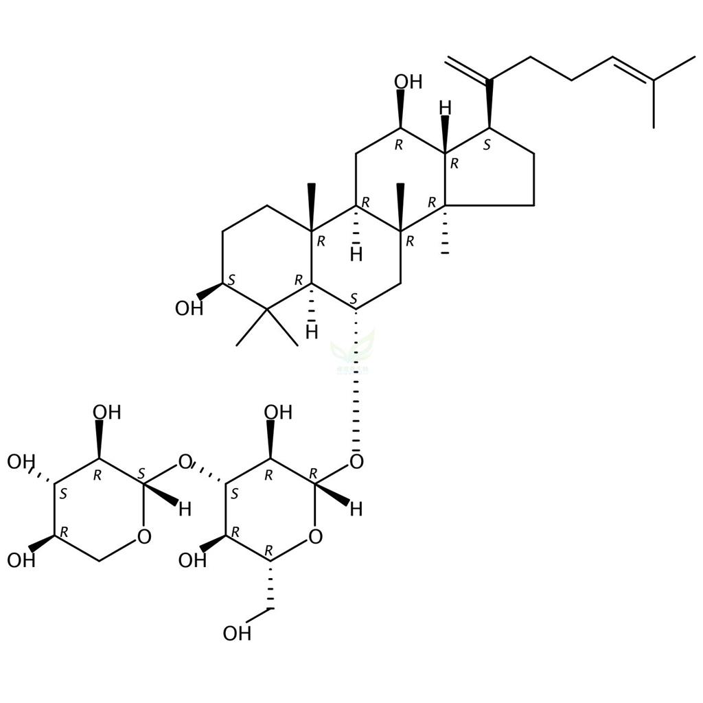 三七皂苷T5,Notoginsenoside T5
