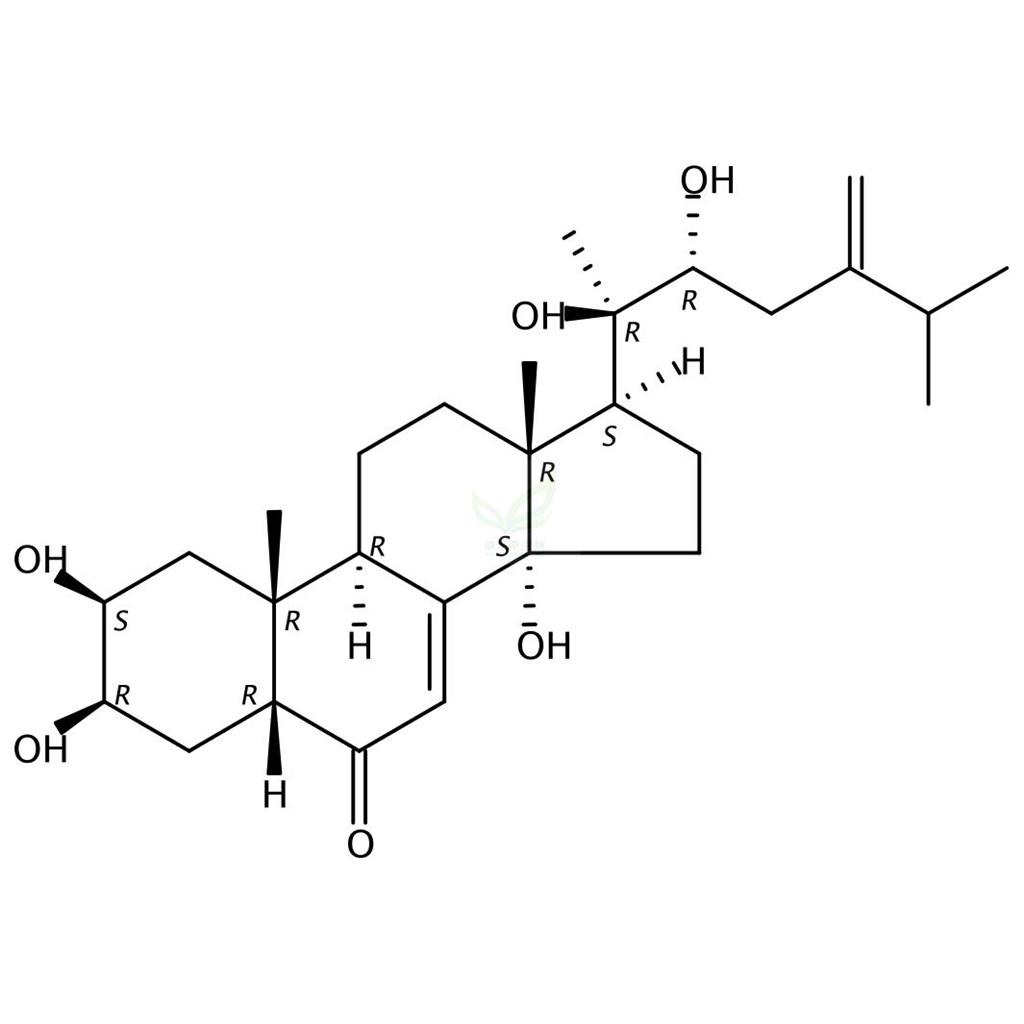 豬苓酮B,Polyporusterone B