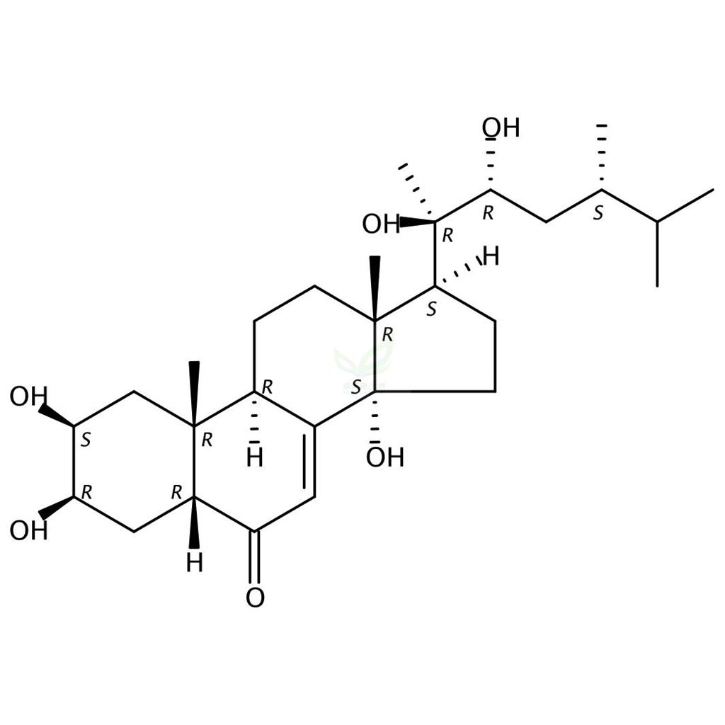 猪苓酮A,Polyporusterone A