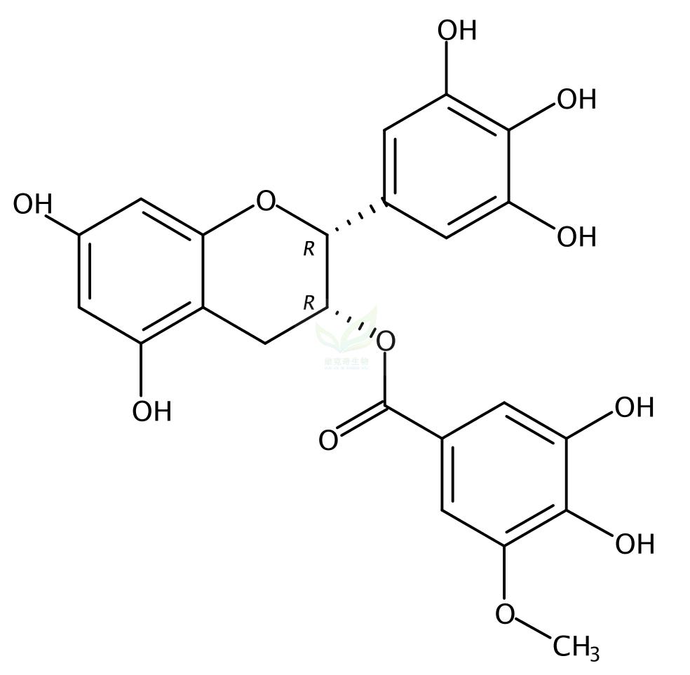 3′′-O-甲基表没食子儿茶素没食子酸酯,Epigallocatechin 3-O-(3-O-methyl)gallate