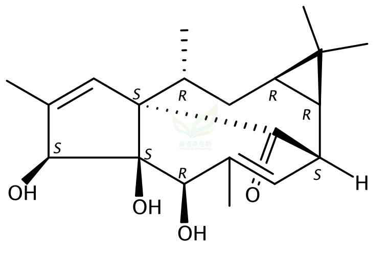 20-去氧巨大戟萜醇,20-Deoxyingenol