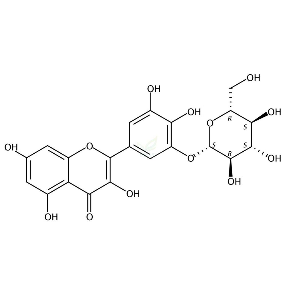 杨梅素-3'-O-Β-D-葡萄糖苷,Cannabiscitrin