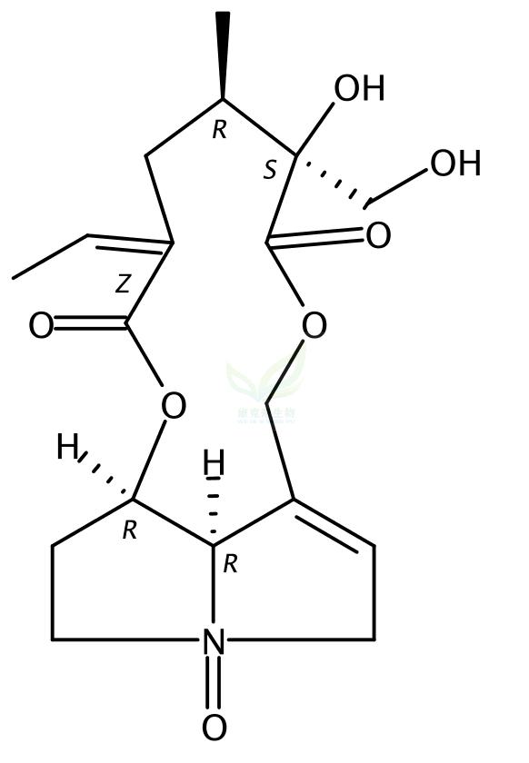 菘蓝千里光碱,Isatidine