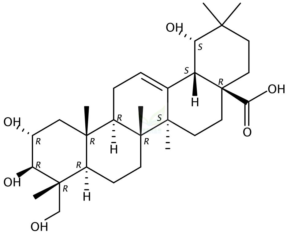 2-alpha,19-alpha,23-三羟基齐墩果酸,Arjungenin