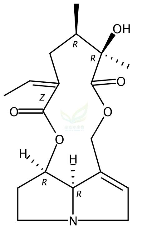 千里光碱,Senecionine