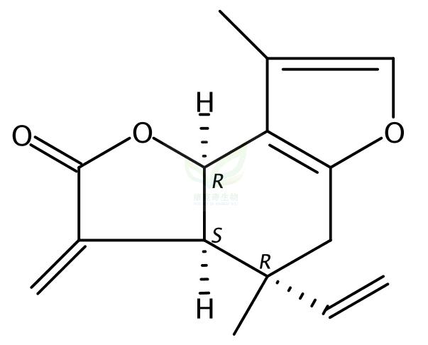 异乌药内酯,Isolinderalactone