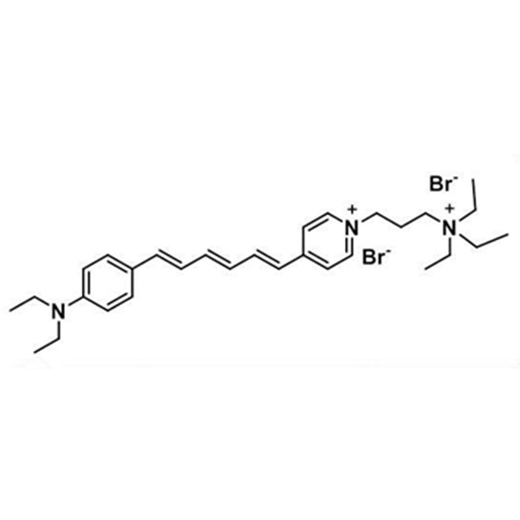 NeurotransRed(监测神经肌肉连接处突触活性),NeurotransRed