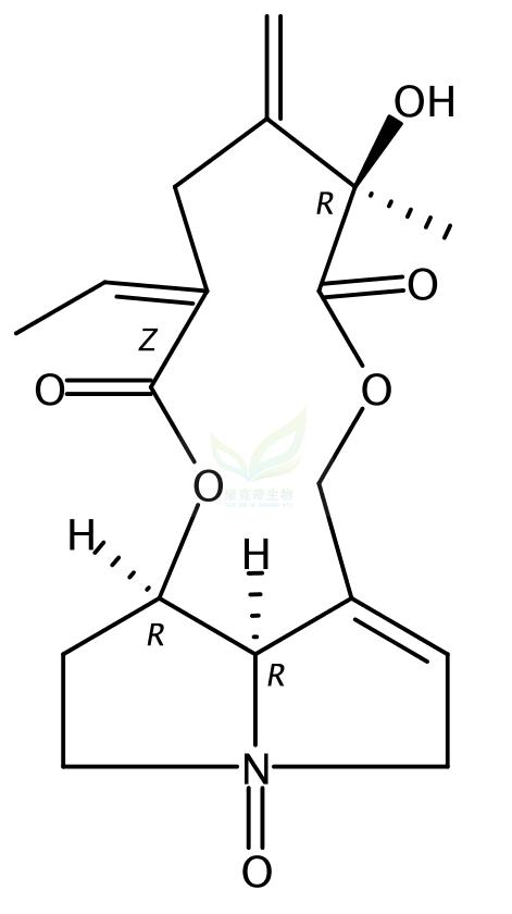 千里光非灵N-氧化物,Seneciphylline N-oxide