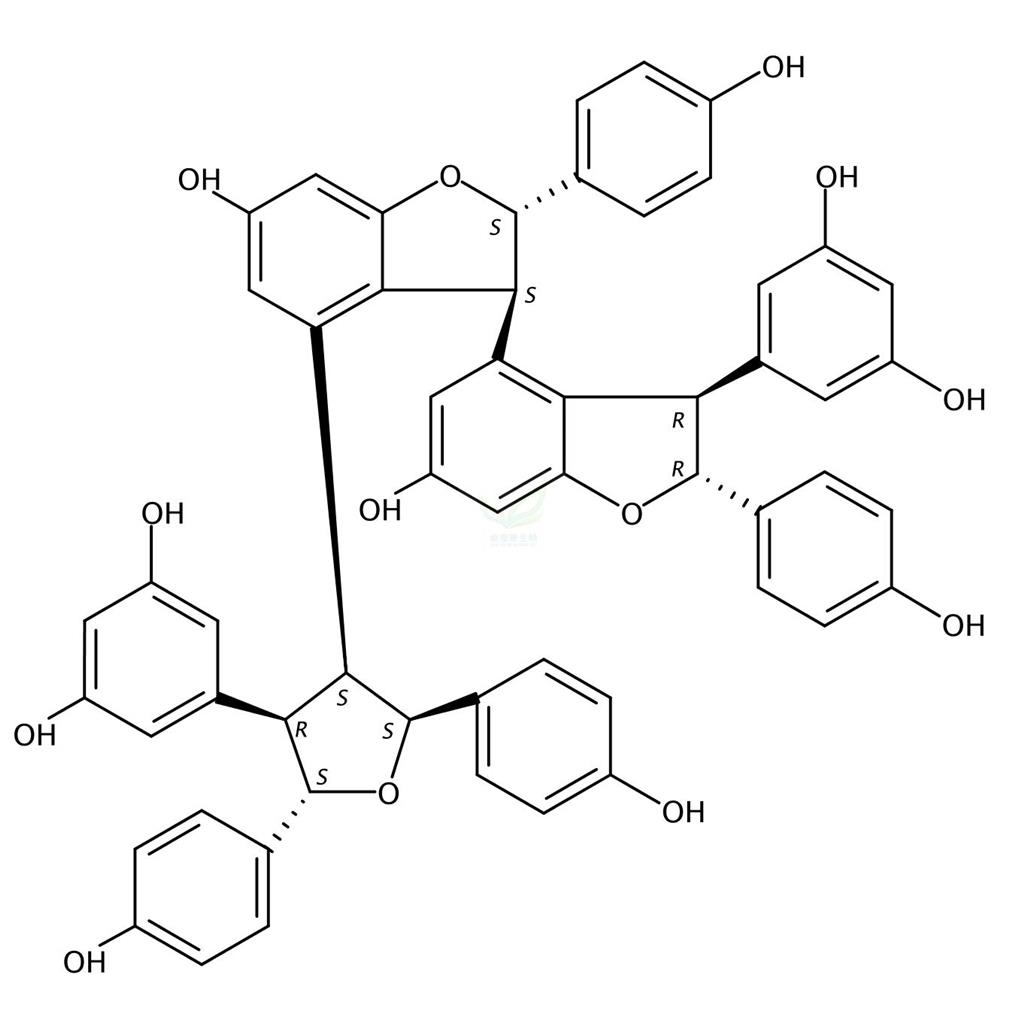 蒿草酚A,Kobophenol A