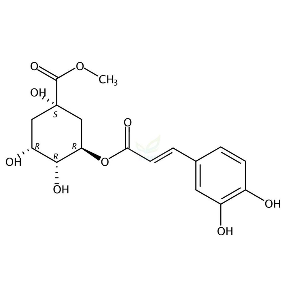 绿原酸甲酯,Methyl chlorogenate