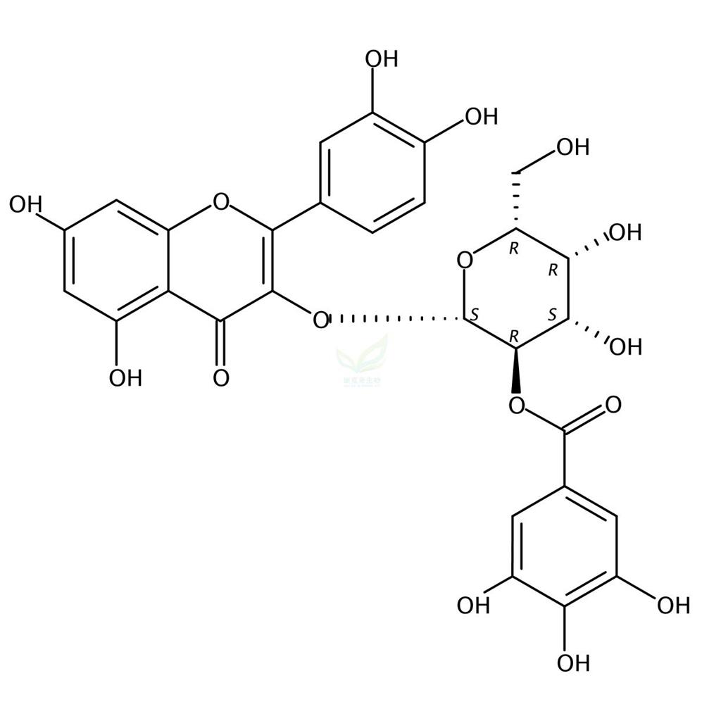 2′′-O-没食子酰基金丝桃苷,2′′-O-Galloylhyperin
