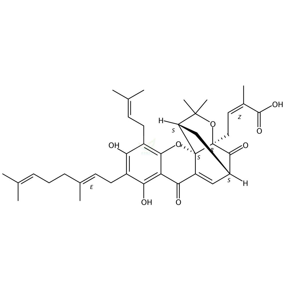 新藤黄酸,Gambogenic acid
