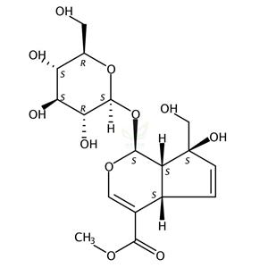 异栀子苷  Gardenoside  24512-62-7