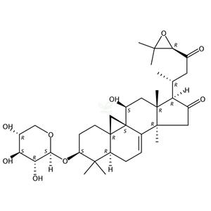 黑升麻苷H-1  Cimicifugoside H1 