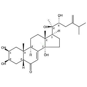 豬苓酮B  Polyporusterone B   141360-89-6