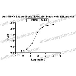 抗体：Monkeypox virus/MPXV E8L Antibody (SAA0285) RVV13201