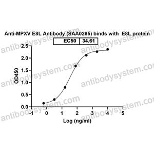 抗體：Monkeypox virus/MPXV E8L Antibody (SAA0285) RVV13201,E8L