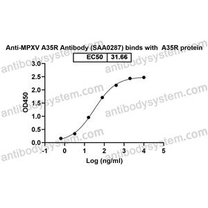 抗体：Monkeypox virus/MPXV A35R Antibody (SAA0287) RVV13101,A35R