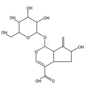 栀子新苷  Gardoside  54835-76-6