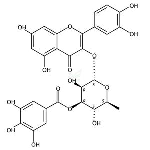 3′′-O-没食子酰基槲皮苷  503446-90-0