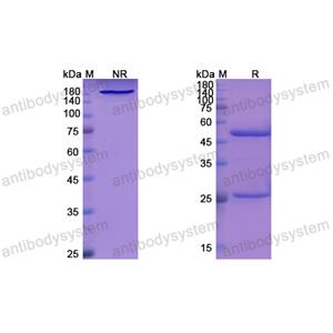 利韋單抗,Research Grade Libivirumab  (DVV03003)