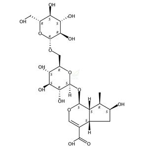 8-表马钱子苷酸-6′-葡萄糖苷 176226-39-4肉苁蓉苷