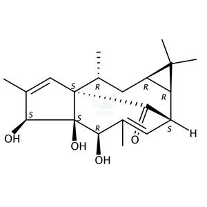 20-去氧巨大戟萜醇  20-Deoxyingenol 