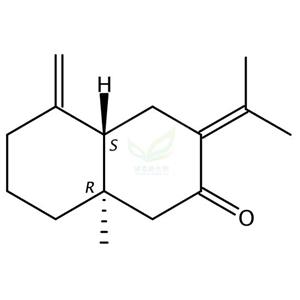 乙酰白术内酯III   54707-47-0