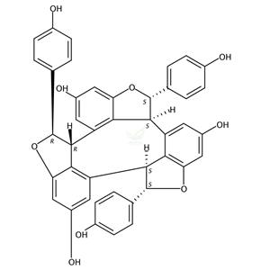 Alpha-葡萄素  alpha-Viniferin   62218-13-7