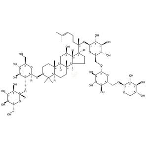 三七皂苷R4    Notoginsenoside R4 87741-77-3