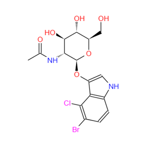 5-溴-4-氯-3-吲哚基-N-乙酰-β-D-氨基葡萄糖苷,5-Bromo-4-chloro-3-indolyl-2-acetamido-2-deoxy-β-D-glucopyranoside