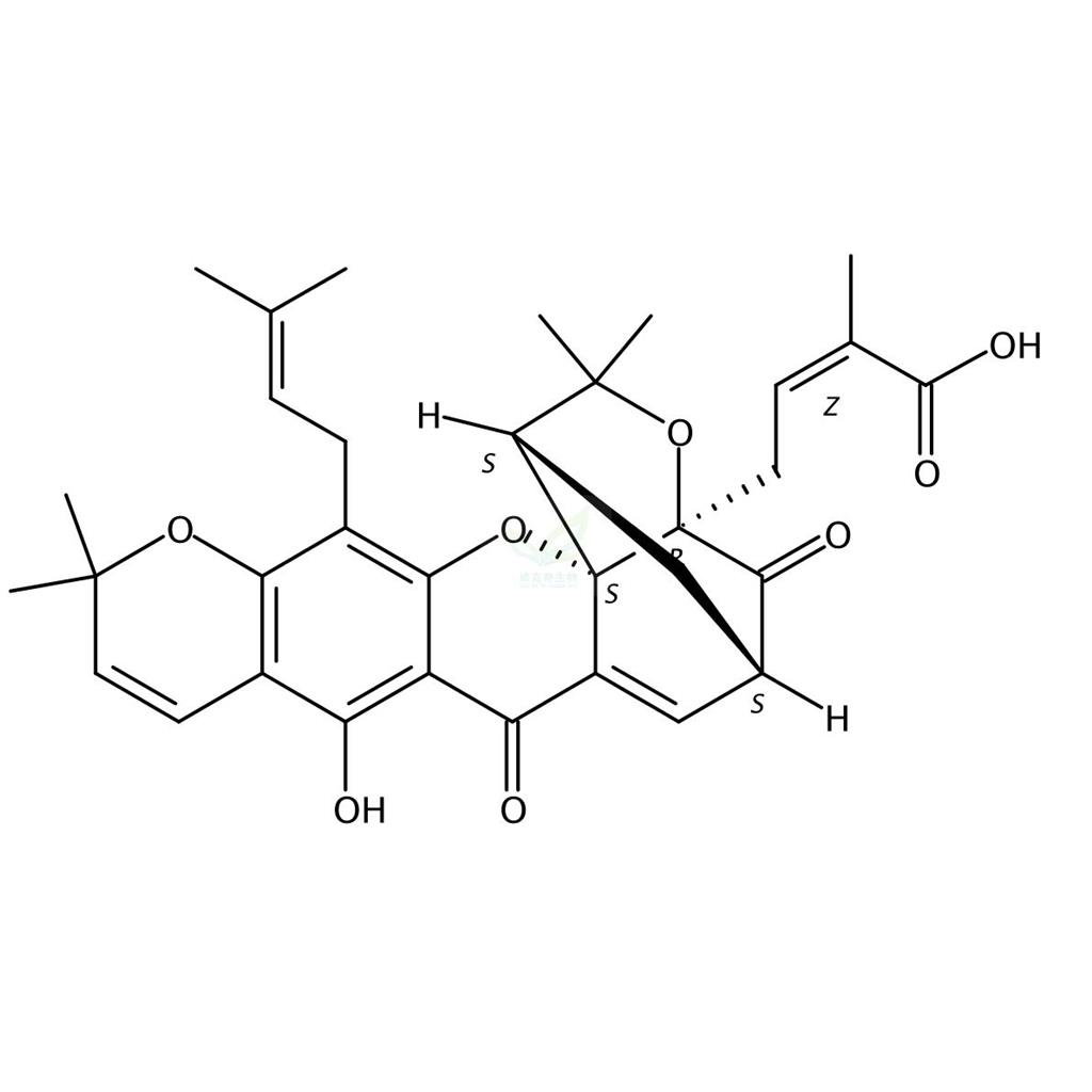 藤黄酸B,Morellic acid