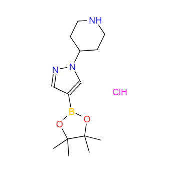 4-(4-(4,4,5,5-四甲基-1,3,2-二氧硼雜環(huán)戊烷-2-基)-1H-吡唑-1-基)哌啶鹽酸鹽,4-[4-(4,4,5,5-Tetramethyl-1,3,2-dioxaborolan-2-yl)-1H-pyrazol-1-yl]piperidine hydrochloride, 1-(Piperidin-4-yl)-4-[4-(4,4,5,5-Tetramethyl-1,3,2-dioxaborolan-2-yl)-1H-pyrazole hydrochloride