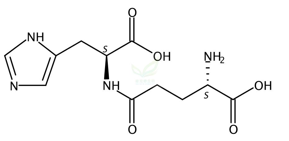 L-gamma-谷氨酰-L-组氨酸,γ-Glu-His
