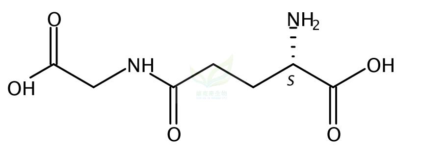 Γ-谷氨酰-甘氨酸,γ-L-Glutamylglycine