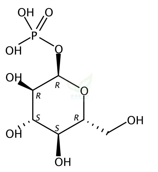 葡萄糖-1-磷酸,Cori ester