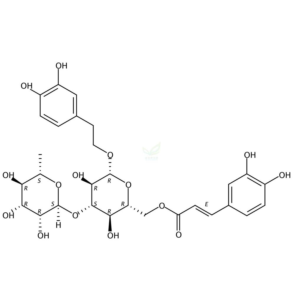 異類葉升麻苷,Isoacteoside