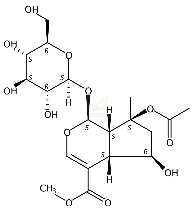 8-O-乙酰山梔苷甲酯,8-O-Acetylshanzhiside methyl ester