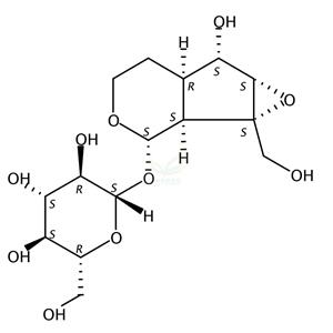 二氢梓醇  Dihydrocatalpol 6736-86-3 