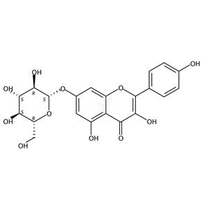 山奈酚-7-O-β-D-葡萄糖苷,Kaempferol-7-O-β-D-glucopyranoside