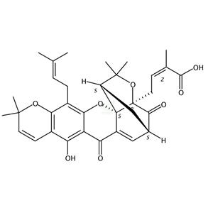 藤黄酸B,Morellic acid
