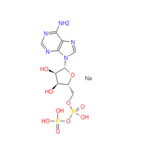 ADP,5'二磷酸腺苷钠盐 20398-34-9